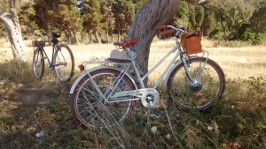 E-bike Country Woman for her